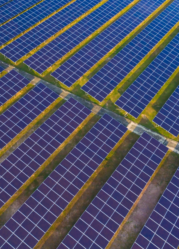 Paneles Solares 2 - Solar Synergy